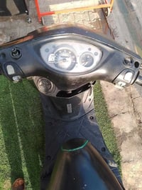 سكنس ثعلب • GTR • مراوس