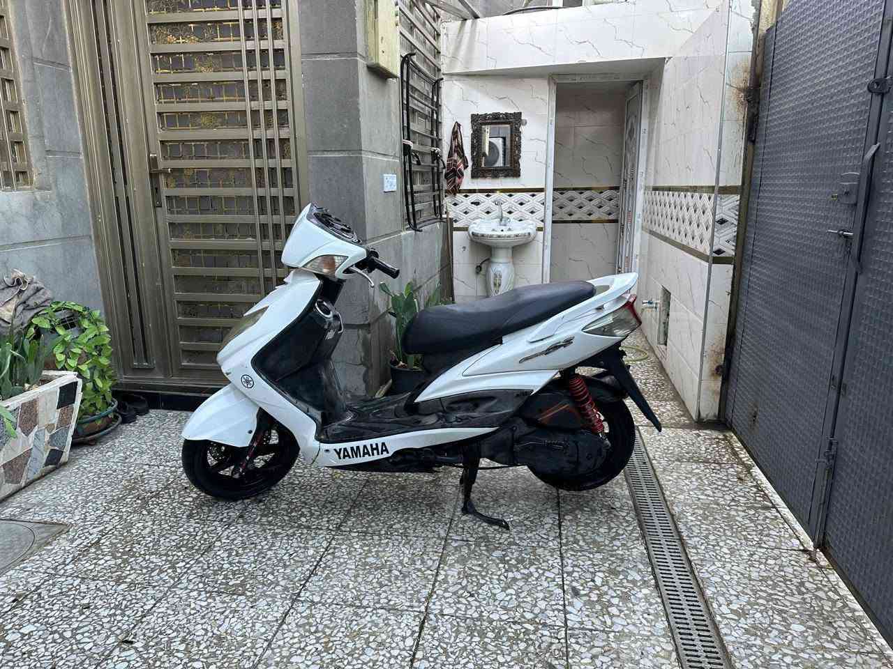 سكنس فحل • نفخ • ضمان