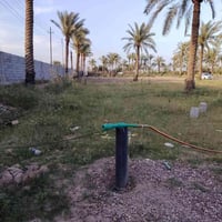 ٤ دونم • نخيل منتج • قرب دجلة ٤٠٠م