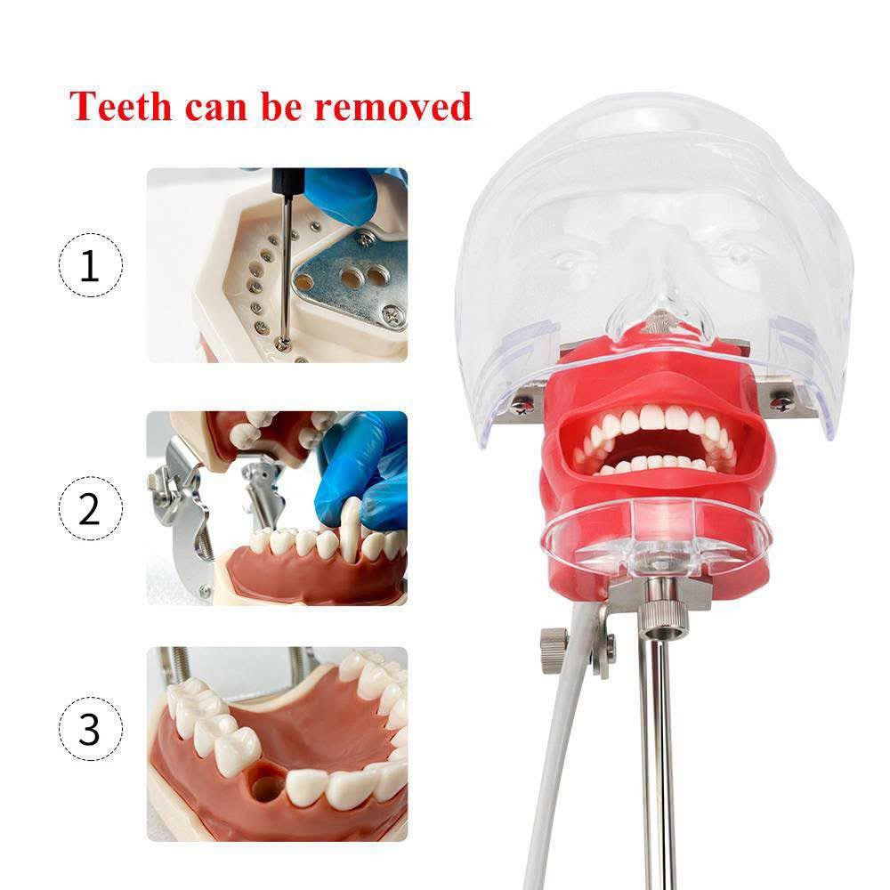 -منيكان متطور محاكي لرأس المريض 
سعره 150 الف
-جهاز تورباين من شركه dentity دينتيني 
سعره 75 الف
- جهاز بورتبل تورباين مع suckes ماص الماء سعره 50 الف
- جهاز الانجن مع هاند بيس و اير موتور سعر 100 الف 
جهاز كمبريسر عالي الكفاءة سعره 150 الف
(العنوان ميسان العمارة) عمارة, ميسان

نص مكتوب في الصور:
- Portable Dental Turbine Unit
- 1/4 صور
- Teeth can be removed 1 2 3
- 1:1
