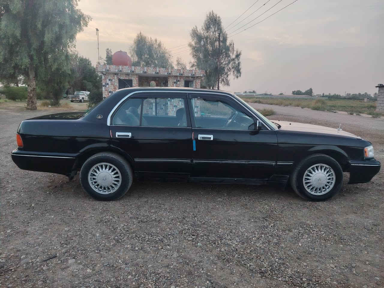 أرنب • ١٩٩٢ • بدون حادث