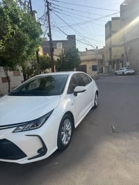 كورلا خليجي • ٢٠٢٥ • رقم بغداد