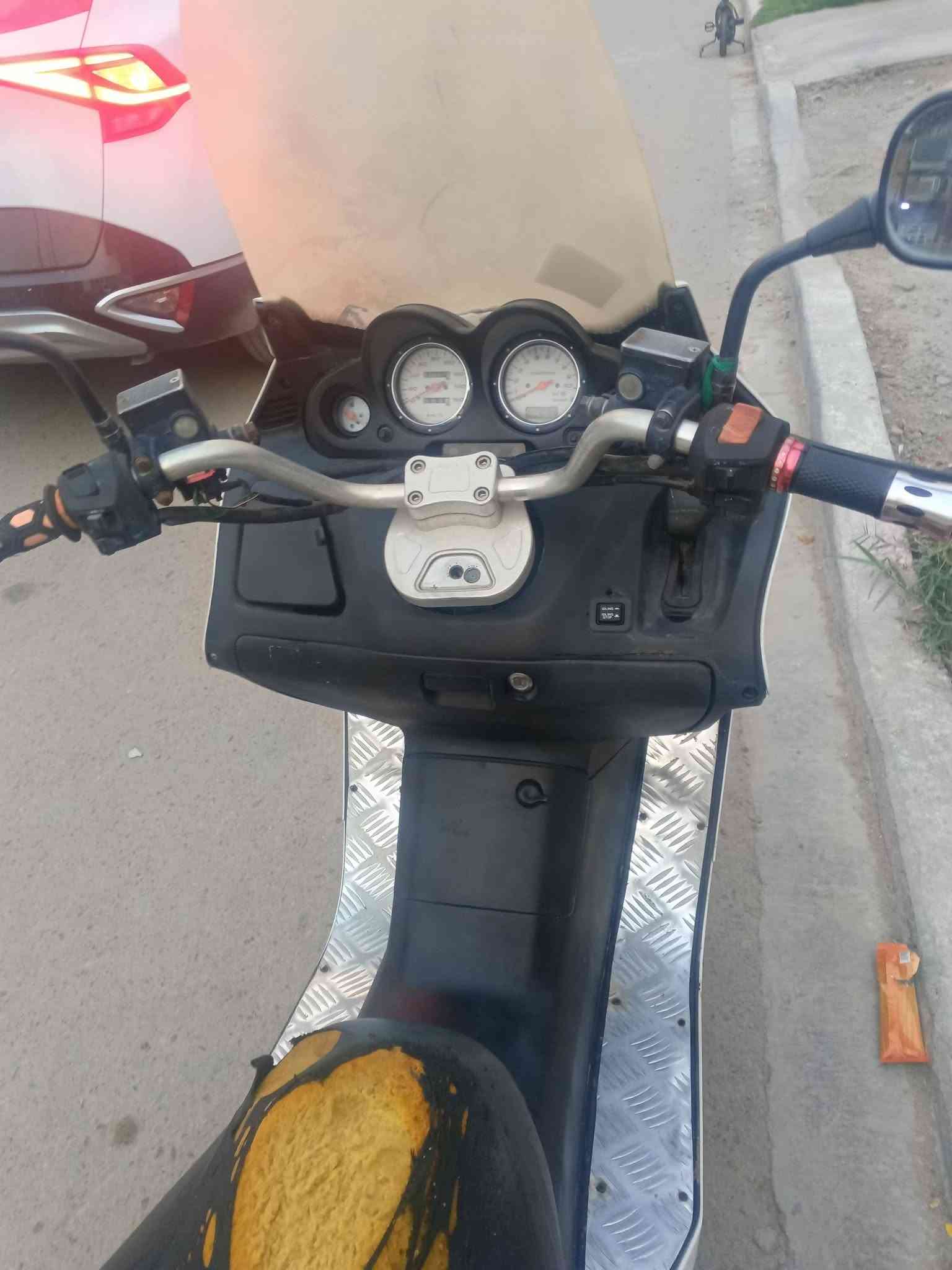 فورزه 06 • فحل • معدل يخبل