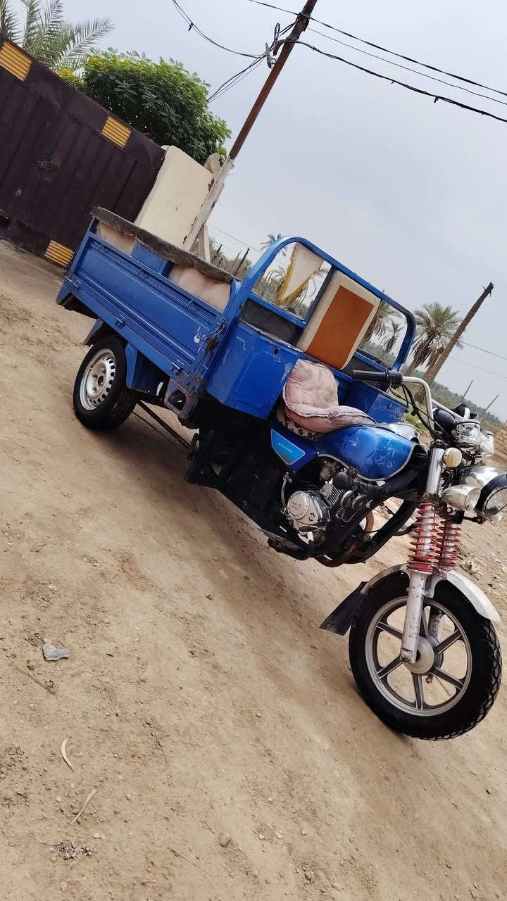 ستوته • ٢٠١٩ • اوراق اصولي