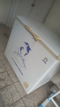 مجمدة • ١٠ قدم • كيزر
