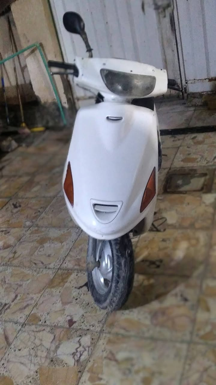 شغالة • سلف • ناعمه