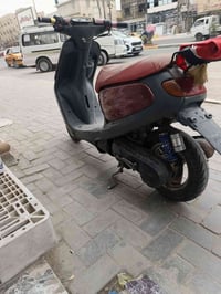 منغولي • فحل • ١٦٠