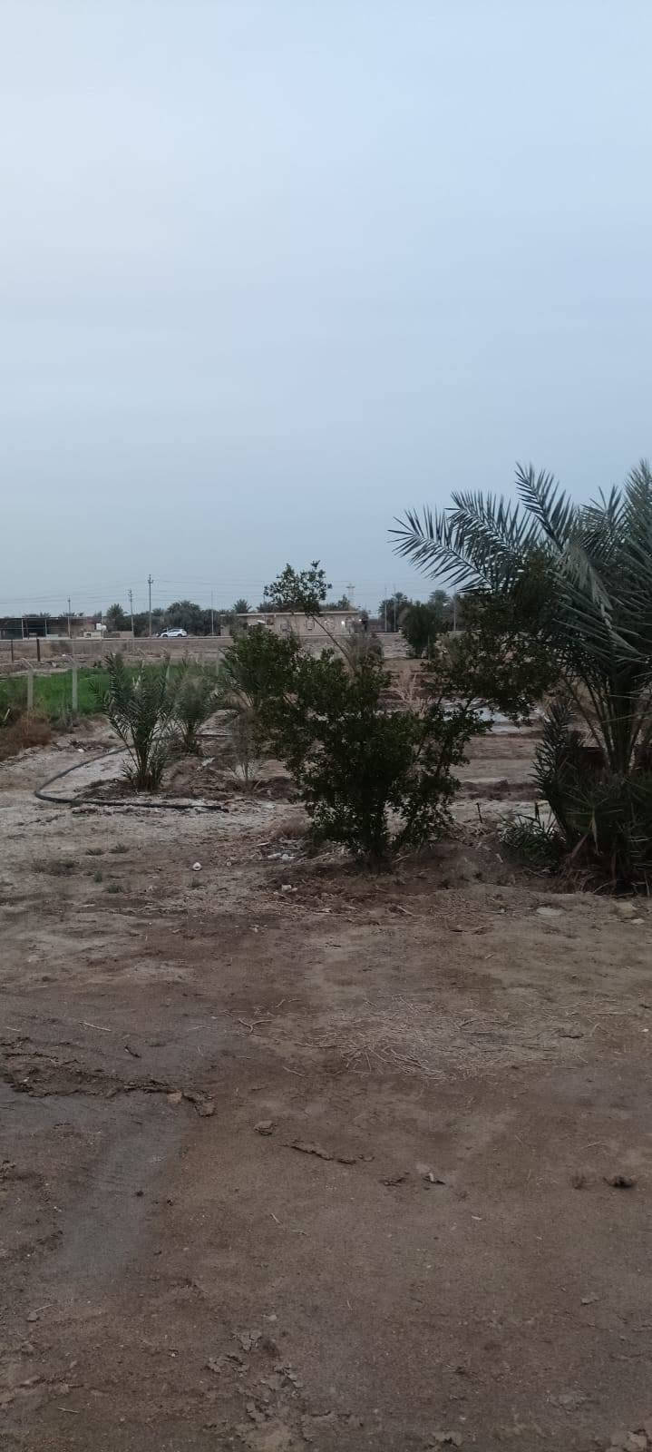 سلام عليكم من رخصت ابو الكروب بيت اللبيع طابو زراعي سند ٢٥ مساحة دونم البيت كونكريت يتكون من غرفتين نوم وصالة واستقبال ومطبخ وصحيات داخلية وخارجية العنوان طريق السنية على شارع العام مباشر الاتصال على الرقم ***********
