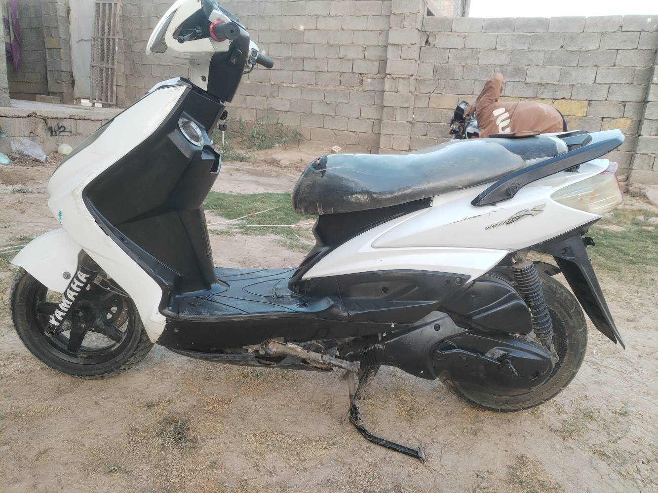 سكنس فحل • ياباني • تبديل