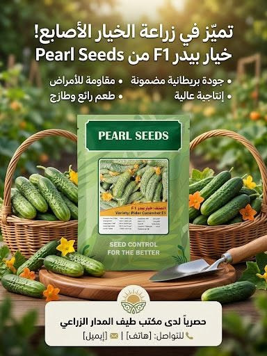 طيف المدار • قرية العباس • بذور ف1