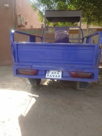 ستوته • ٢٠١٩ • بدي معمر