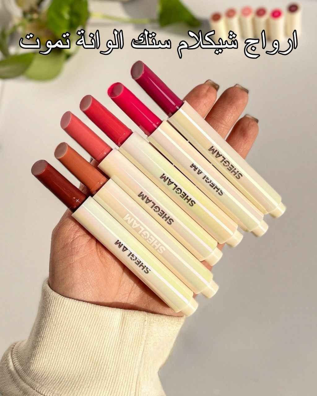 حلة • مواد تجميل • واقي شمس
