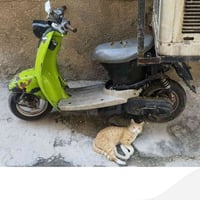 شيخ عمر • ما بيها بطارية • تمشي ٦٠