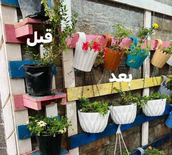 اكسسوارات نباتات • سنادين بلاستك • توصيل كل المحافظات