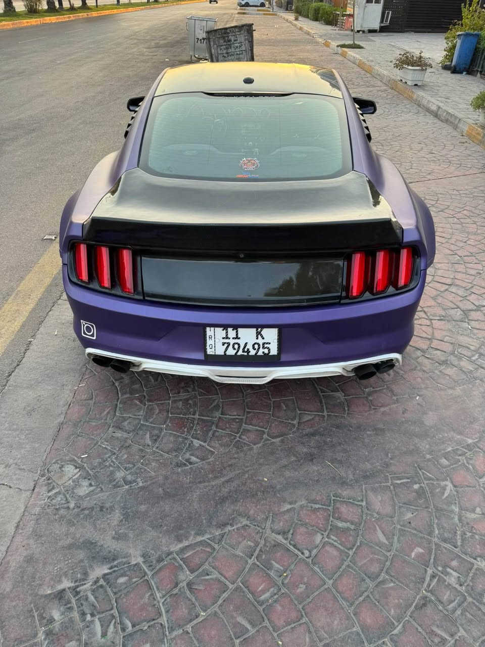 موستنك إيكوبوست • بنفسجي طافي • الفلوجة