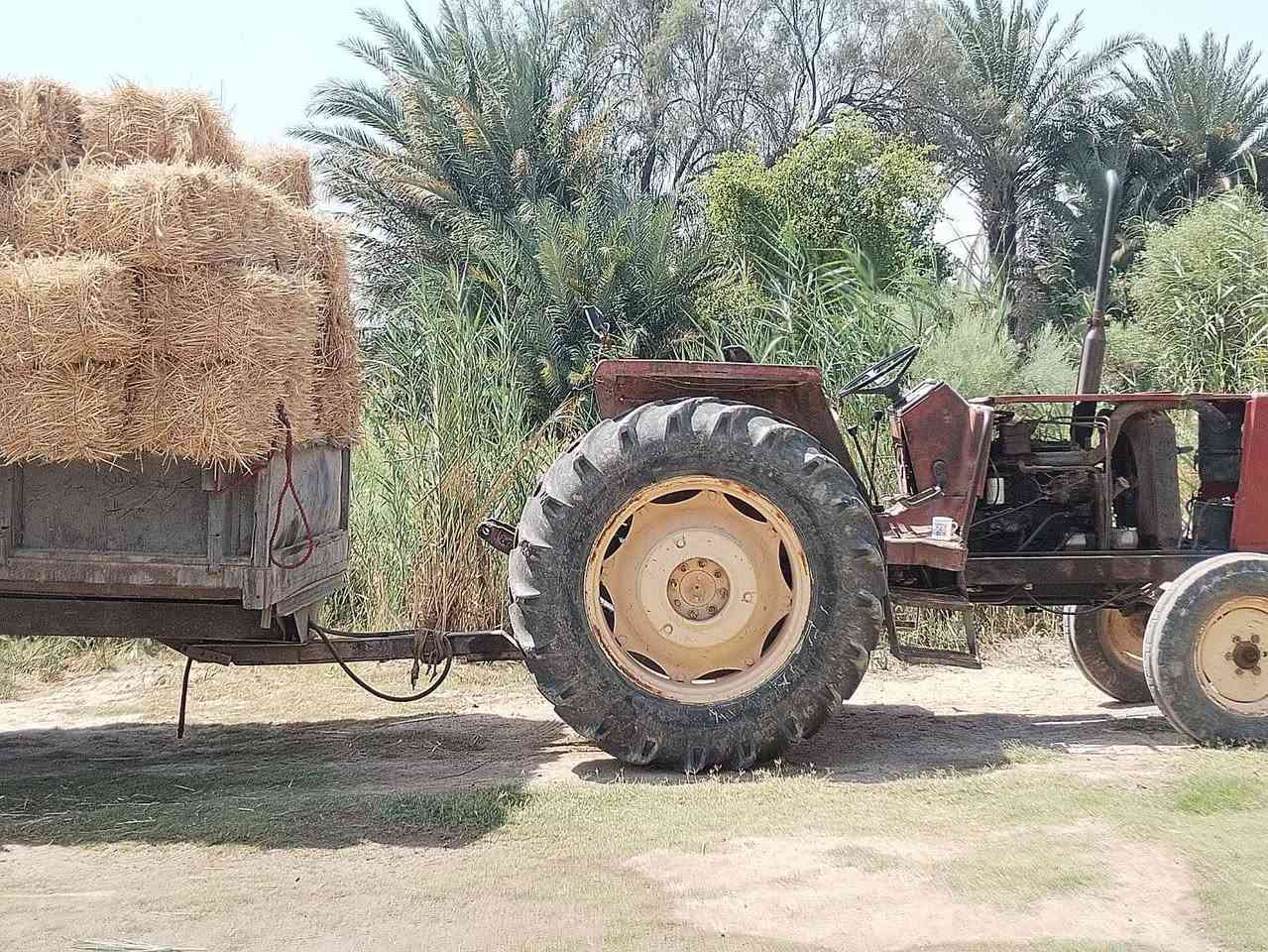 السلام عليكم
مكينه فيات 780 رقم واسط بأسمي 
وياها فدان وديچر وعربانه 
مكانها واسط قضاء الزبيديه 
سعرها 12 وبيها مجال 
***********
