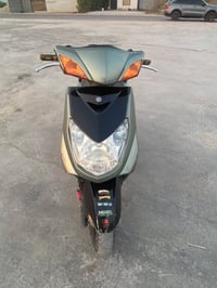 سكنس فحل • كور بصمه • اوراق