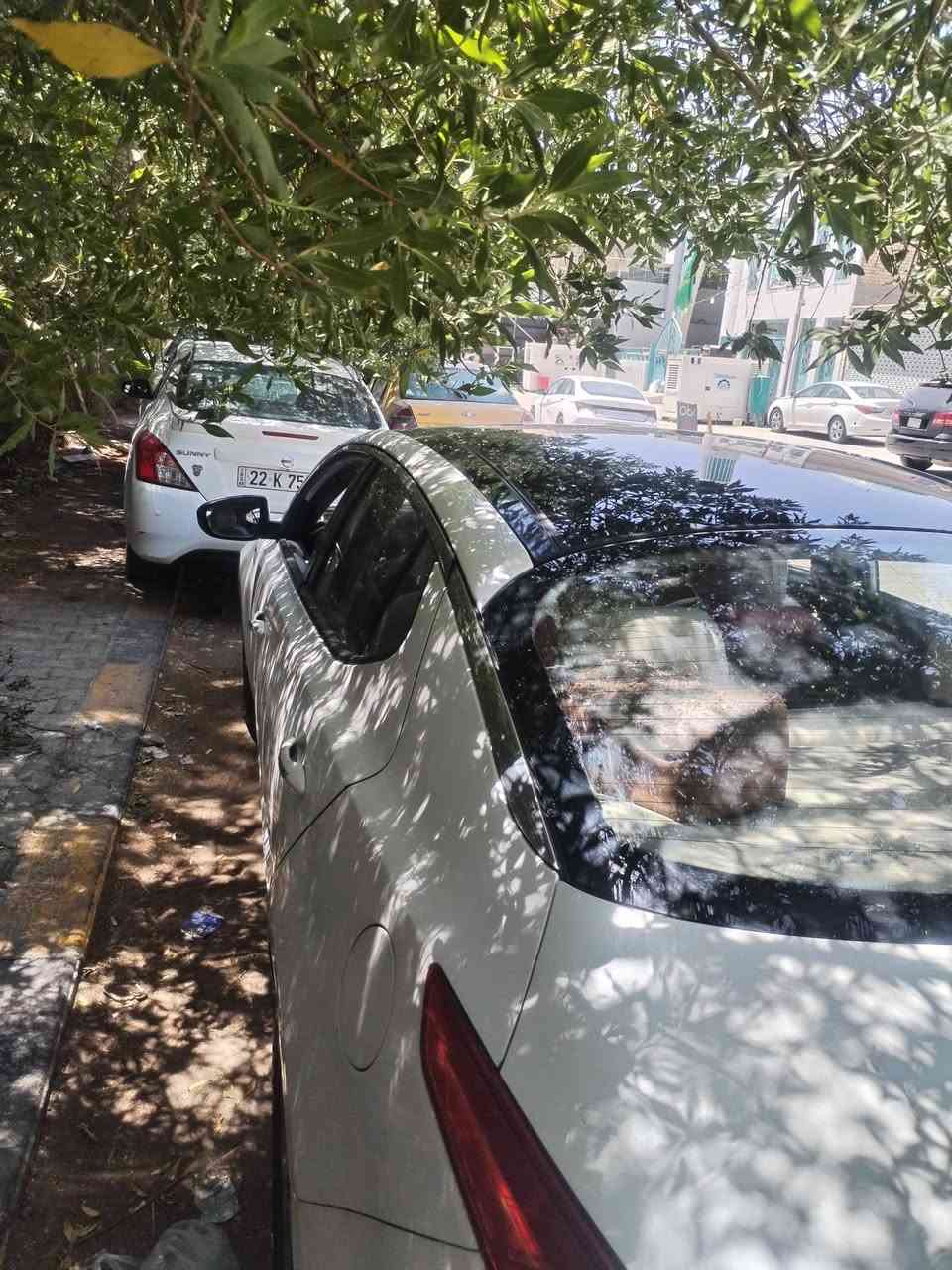 السعر 110
بيها مجال حك الجيه 
العنوان النجف 

***********
سلام عليكم اوبتمه موديل ١١ خليجي فول مواصفات عده بصمه مكينه ٢٠٠٠ دوش شفتات ستيرن سياره جاهزه كلش حداديه تبريد باتري جديد  مكينه كير كفاله السياره رقم أربيل   جاملغ الخلفي
