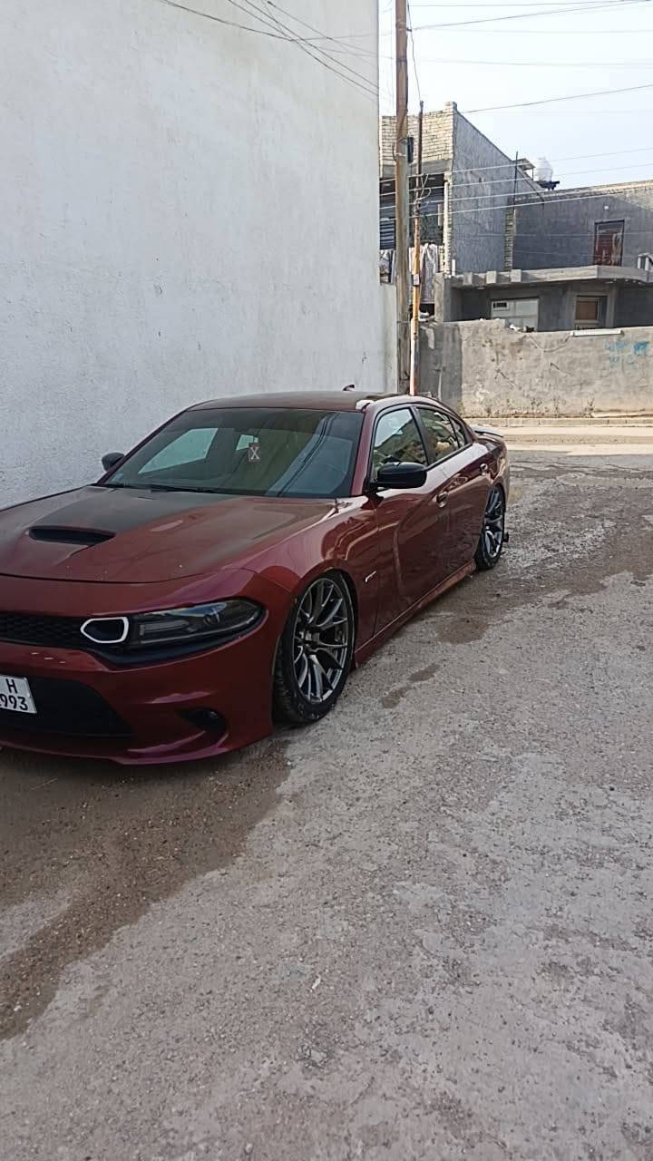 سلام عليكم بيع او مراوس حسب القناعة ارتي 18 فولة  منة عدة الفتحة  ***********
