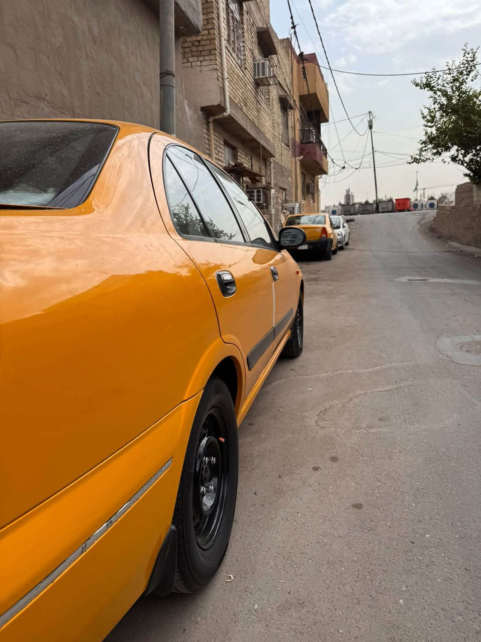 صني • ٢٠٠٩ • سنوية ساقطة