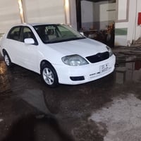 بيكاتشو • ٢٠٠٧ • صلاح الدين