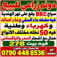 دونم زراعي • نهر الهندية • ٥٠ نخلة