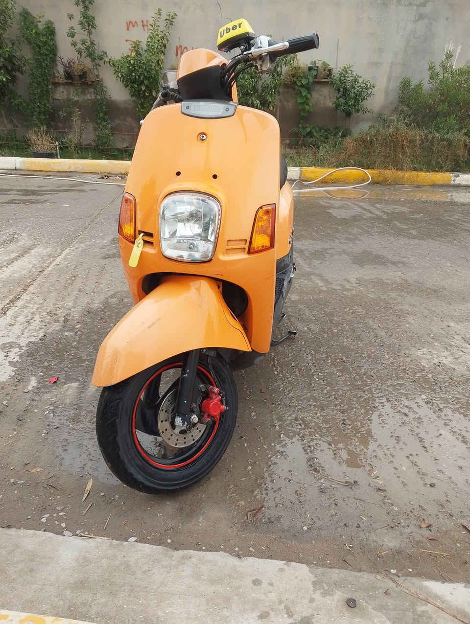 ماكس بوليس • ٢٠٠٨ • كهربائية