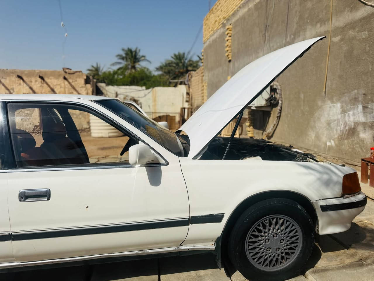 سياره جاهزه  كير مكينه. 
محرك ونجي سياره حلوه  

  

***********
عنوان الناصرية:
