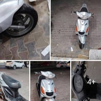 دولفين • ما مفتوحه • سلف كهرباء