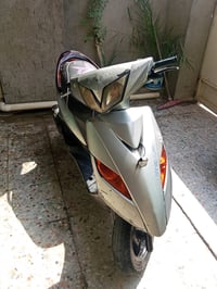 ثعلب • نضيفه • ما بيه اوراق