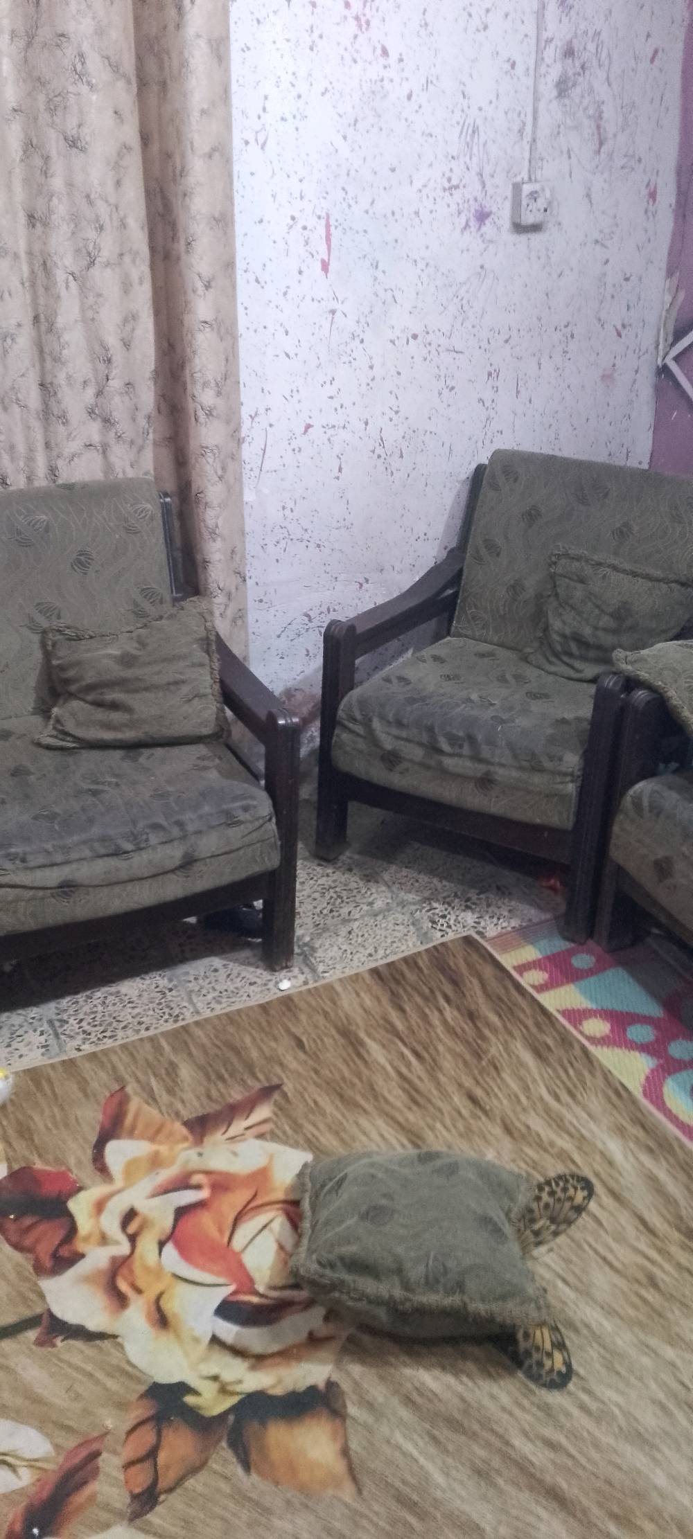 حاسبة بكارتون • شواية • الحريه بغداد