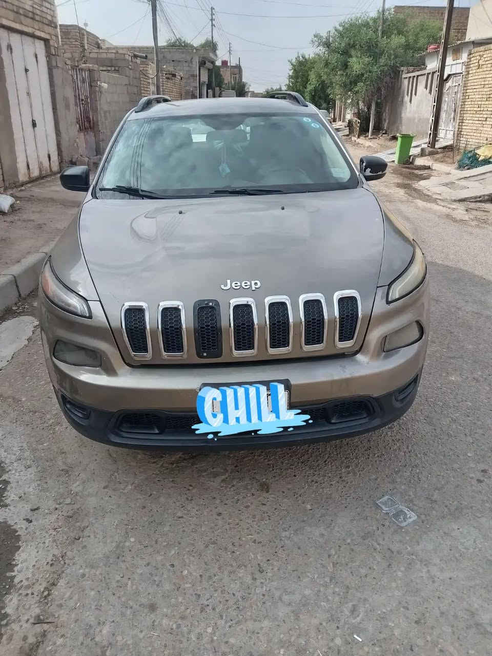 جيب بزون • أمريكي • ٢٠١٦