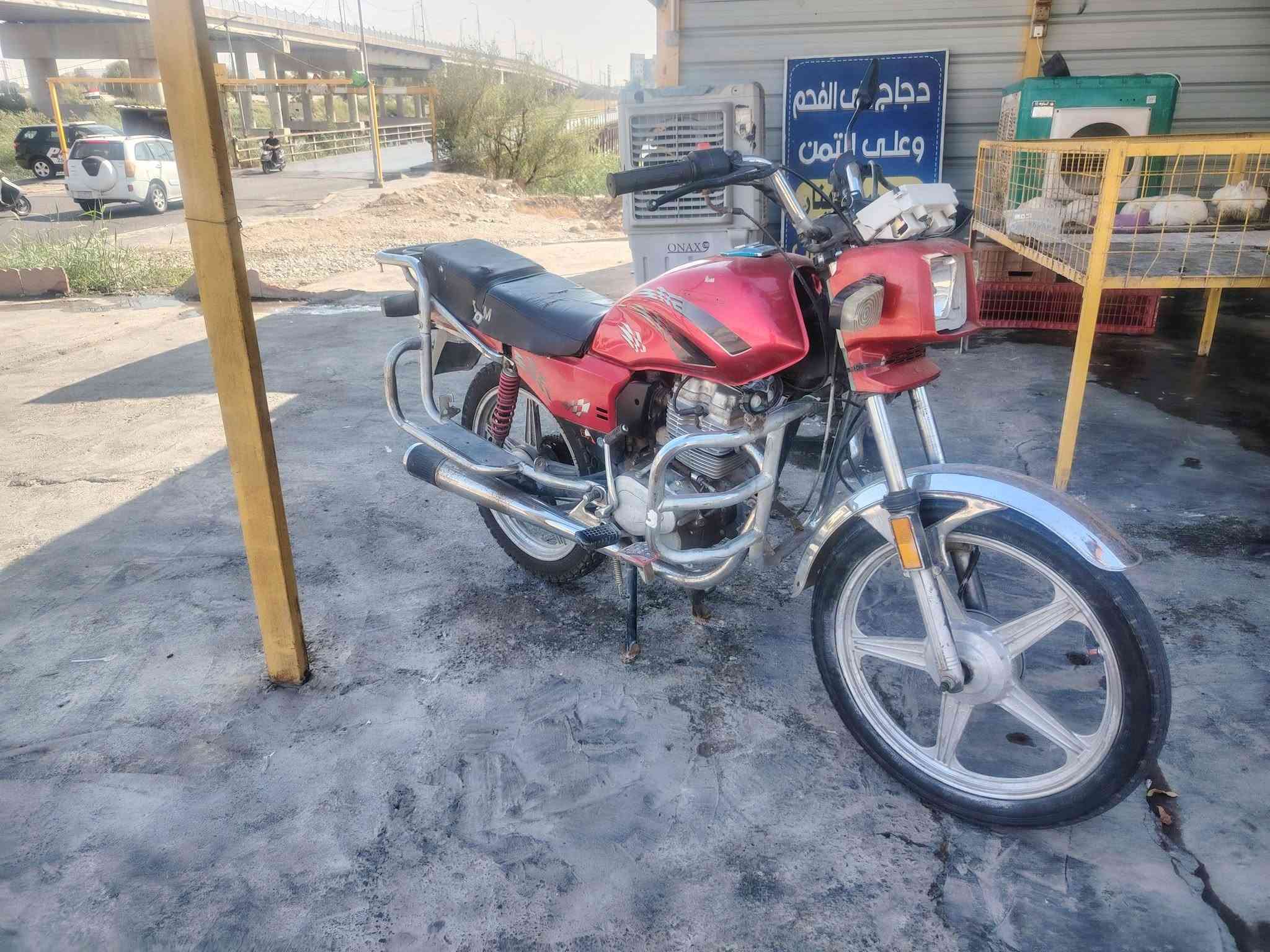 فيوم • موديل 15 • اوراق