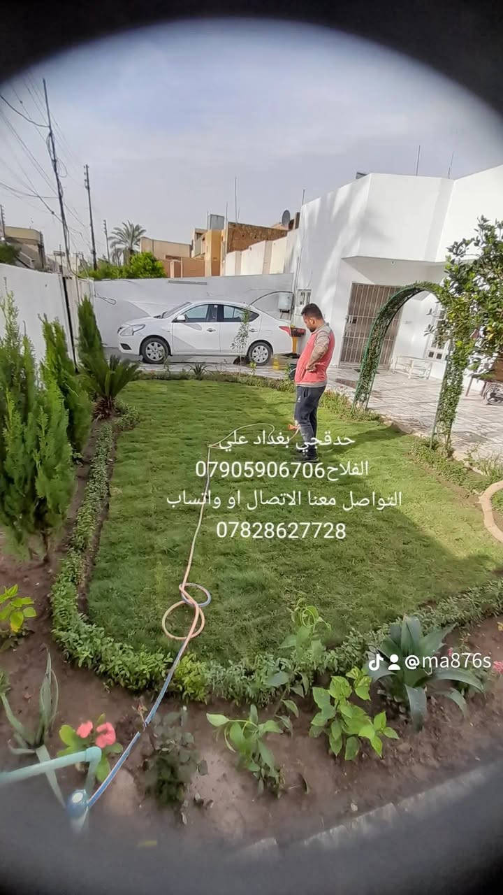 عندما تكون نتيجة حديقة منزلك أو مزرعتك بهذا الجمال، فأكيد كان المنفذ كادر حدقجي بغداد علي الفلاح نلتزم شهريه وتاسيس مرشاد ونافورات والشلال تابعونا عل توك تك ma876s
العنوان بغداد 
***********📞 الاتصال
*********** واتساب
#حدقجي #بغداد #علي #الفلاح🌲
#تصاميم_الحدائق 🏕
#اشجار_معمرة🌴🌵
#نباتات_زينة🌻
***********
