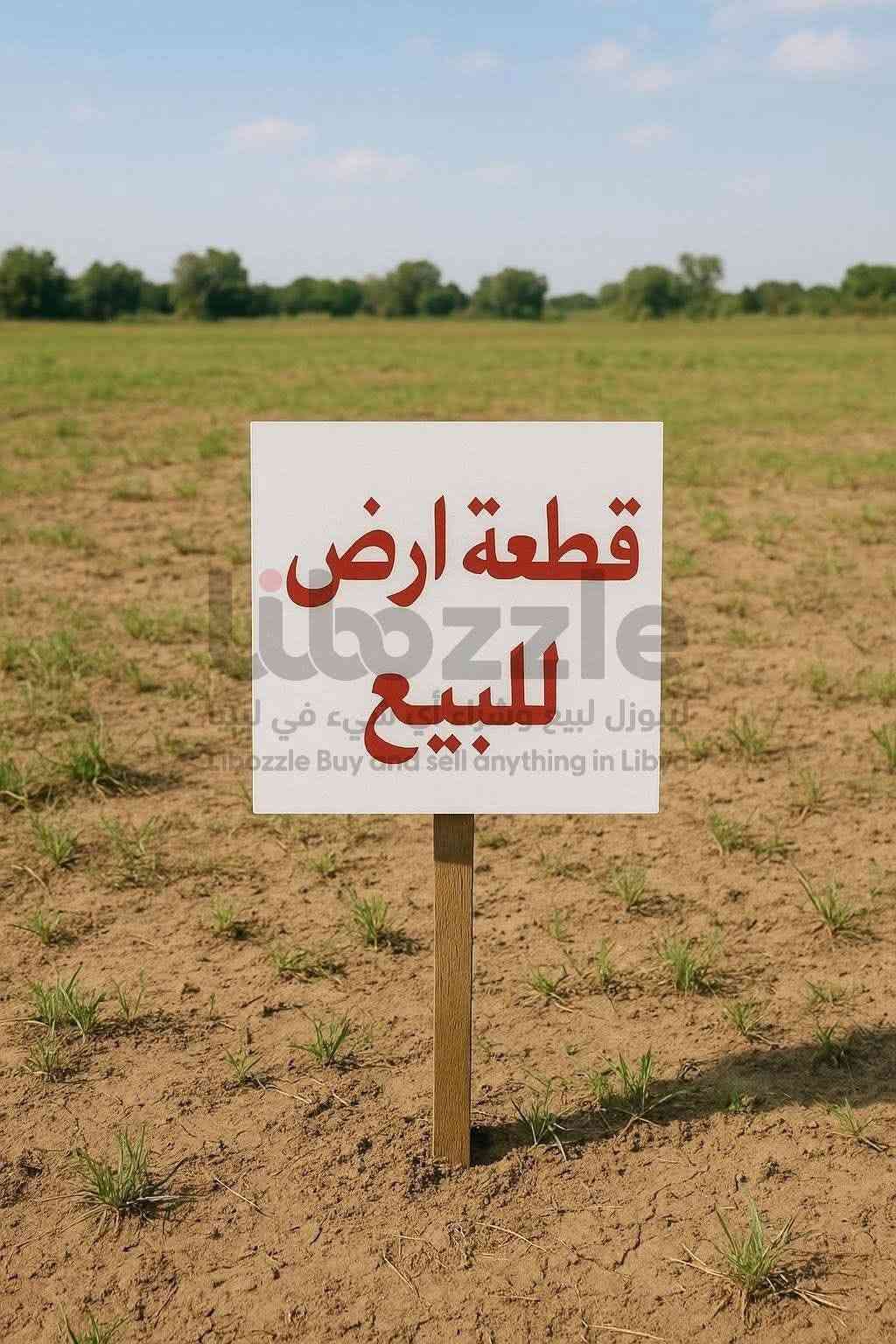 حي القصور • ٥٠٠م • ١٠٠م عن الشارع