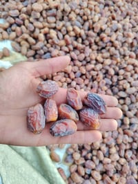تمر • نضيف • جاهز