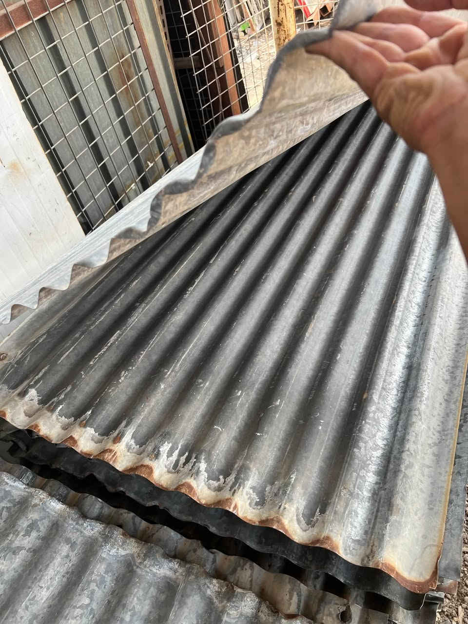 جينكو ياباني • ٢٫٤٠م • ١٠٠٠ قطعة