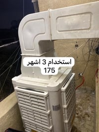مبرده شغاله للبيع بسبب الوعود الكاذبه  مكاني بغداد الحريه  07765812318
