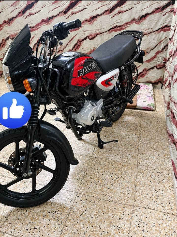 بوكسر جبلي • موديل ٢٢ • نضيفة