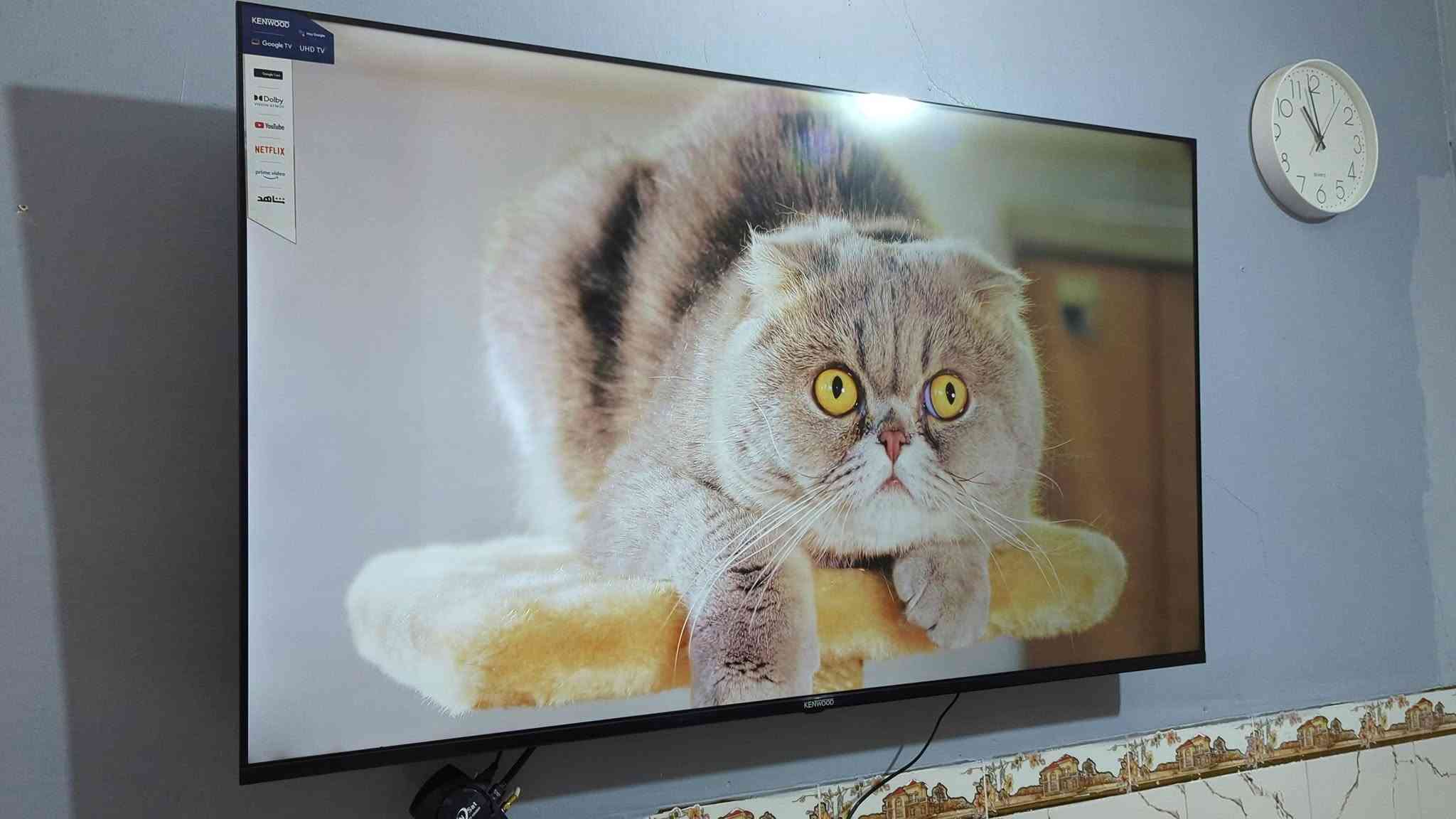 شاشة كينوود الذكية بمقاس 65 بوصة (LED-KN65-SMART) تتميز بمجموعة من المواصفات المتطورة والذكية: [1]
شاشه حجم 65 كينود سمارت نضام كوكل تيفي ناطق فوركي حقيقي سماعت استريو معدل تحديث 120هرتزيه شاشه فول موصفات اخت الجديده كامله مكمله سعرهة 550قفل سعرجديده 750 مكاني بغداد وره سيطرات الشعب

📺 التصميم وجودة العرض

حجم الشاشة: 65 بوصة.

نوع اللوحة (Panel): شاشة LED بتصميم معدني نحيف جداً وبدون إطار (Metal Frameless Super Slim Design).

الدقة: 4K Ultra HD بدقة وضوح (3840 × 2160 بكسل) لعرض تفاصيل فائقة النقاء.

تقنيات الصورة: تدعم تقنية Dolby Vision للتباين والألوان الواقعية.

معدل التحديث: تدعم خاصية DLG 120Hz التي توفر سلاسة ممتازة أثناء مشاهدة مباريات كرة القدم وألعاب الفيديو السريعة. [1]

🧠 النظام والذكاء الاصطناعي

نظام التشغيل: نظام Google TV الرسمي القائم على أندرويد (تلفزيون ذكي بالكامل).

المساعد الصوتي: دعم كامل للأوامر الصوتية من خلال مساعد جوجل (Google Assistant / Hey Google).

التطبيقات المدعومة: تشغيل رسمي ومثبت مسبقاً لأشهر البرامج مثل (YouTube - Netflix - Prime Video) بالإضافة إلى دعم متجر جوجل لتنزيل كافة التطبيقات والألعاب. [1, 2, 3]

🔌 التوصيل والمنافذ

الاتصال اللاسلكي: واي فاي (Wi-Fi) مدمج وبلوتوث (Bluetooth).

المنافذ: تحتوي على مداخل HDMI لتوصيل أجهزة الألعاب والستلايت، ومداخل USB لتشغيل الفلاشات والملفات الخارجية.

التحكم الذكي: ريموت كنترول يدعم التحكم بالأوامر الصوتية والبحث الذكي. [1]
شاشة كينوود الذكية بمقاس 65 بوصة (LED-KN65-SMART) تتميز بمجموعة من المواصفات المتطورة والذكية: [1]

شاشة كينوود الذكية بمقاس 65 بوصة (LED-KN65-SMART) تتميز بمجموعة من المواصفات المتطورة والذكية: [1]
شاشة كينوود الذكية بمقاس 65 بوصة (LED-KN65-SMART) تتميز بمجموعة من المواصفات المتطورة والذكية: [1]

شاشة كينوود الذكية بمقاس 65 بوصة (LED-KN65-SMART) تتميز بمجموعة من المواصفات المتطورة والذكية: [1]
شاشة كينوود الذكية بمقاس 65 بوصة (LED-KN65-SMART) تتميز بمجموعة من المواصفات المتطورة والذكية: [1]

شاشة كينوود الذكية بمقاس 65 بوصة (LED-KN65-SMART) تتميز بمجموعة من المواصفات المتطورة والذكية: [1]

شاشة كينوود الذكية بمقاس 65 بوصة (LED-KN65-SMART) تتميز بمجموعة من المواصفات المتطورة والذكية: [1]

شاشة كينوود الذكية بمقاس 65 بوصة (LED-KN65-SMART) تتميز بمجموعة من المواصفات المتطورة والذكية: [1]
شاشة كينوود الذكية بمقاس 65 بوصة (LED-KN65-SMART) تتميز بمجموعة من المواصفات المتطورة والذكية: [1]

شاشة كينوود الذكية بمقاس 65 بوصة (LED-KN65-SMART) تتميز بمجموعة من المواصفات المتطورة والذكية: [1]

شاشة كينوود الذكية بمقاس 65 بوصة (LED-KN65-SMART) تتميز بمجموعة من المواصفات المتطورة والذكية: [1]
شاشة كينوود الذكية بمقاس 65 بوصة (LED-KN65-SMART) تتميز بمجموعة من المواصفات المتطورة والذكية: [1]
