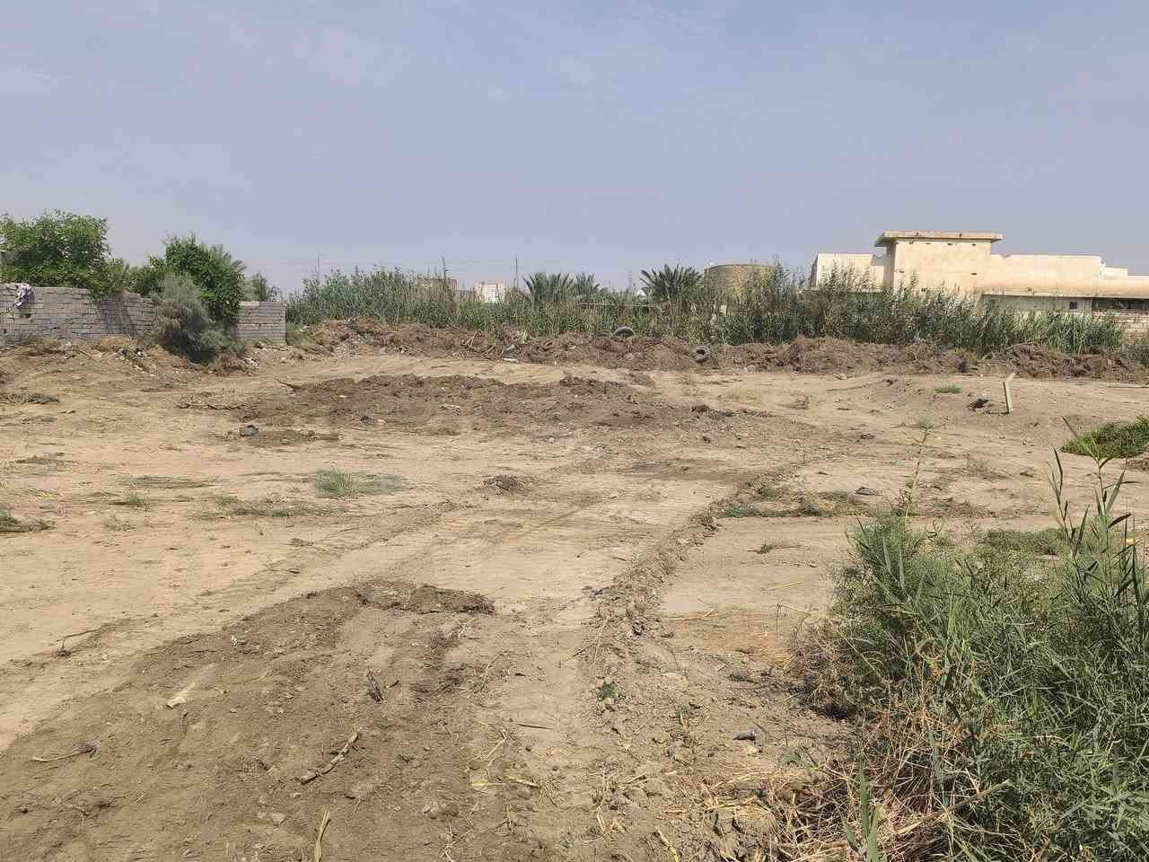 طابو زراعي • سند 25 • ١٠٠٠م