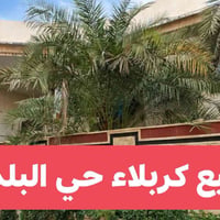 كربلاء حي البلدية • طابو زراعي • ٦ غرف
