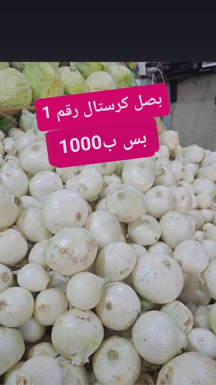 موز أكوادور • فطر فرش • توصيل