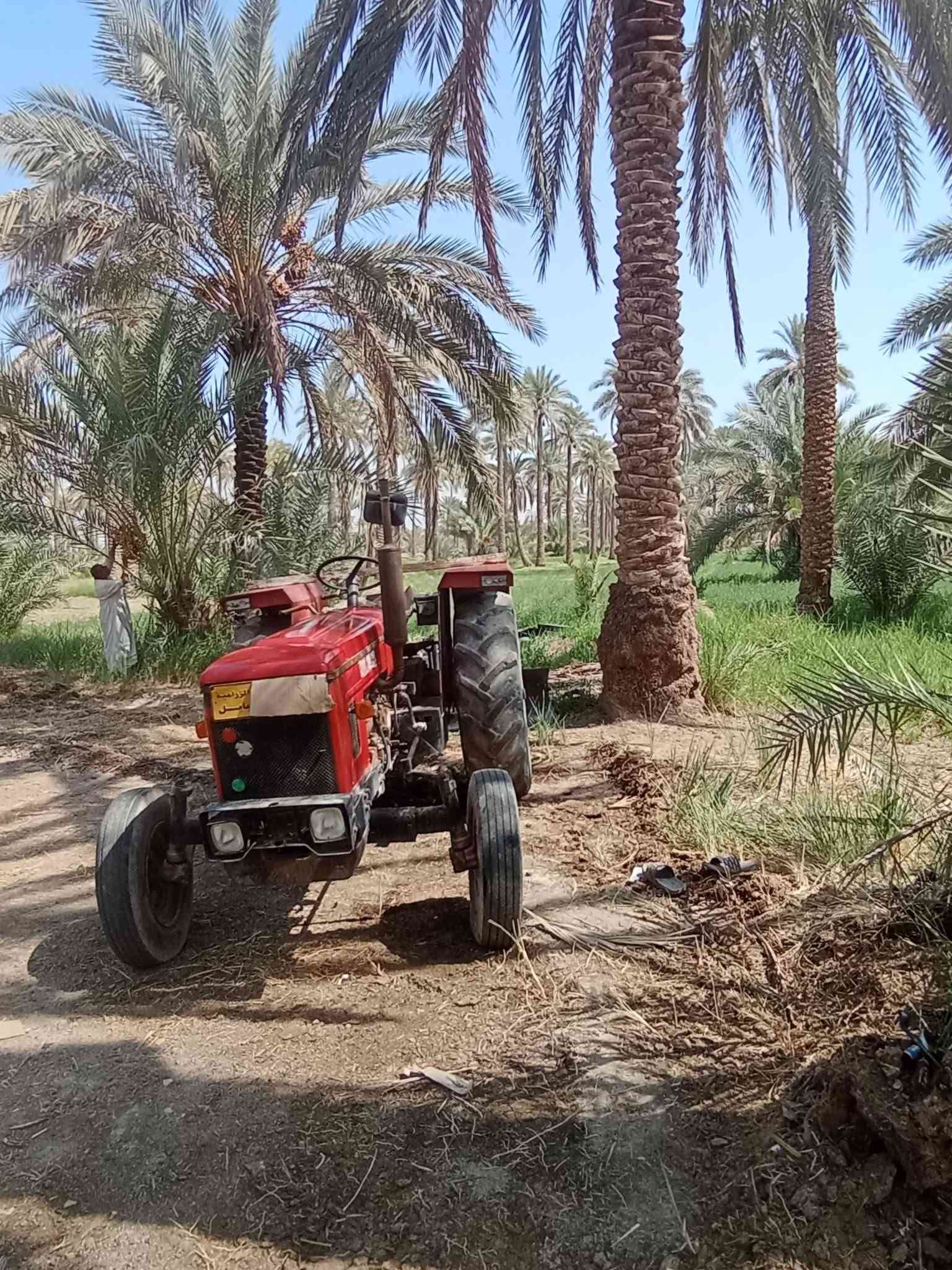 عنتر للبيع موديل1987 مع فدان (بدون ) للاستفسار الاتصال ***********
