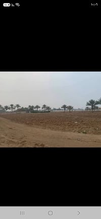 قرية المراسمة • ٢ دونم • سند ٢٥
