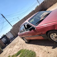اللبيع او مراوس رقم كامل نكليزي