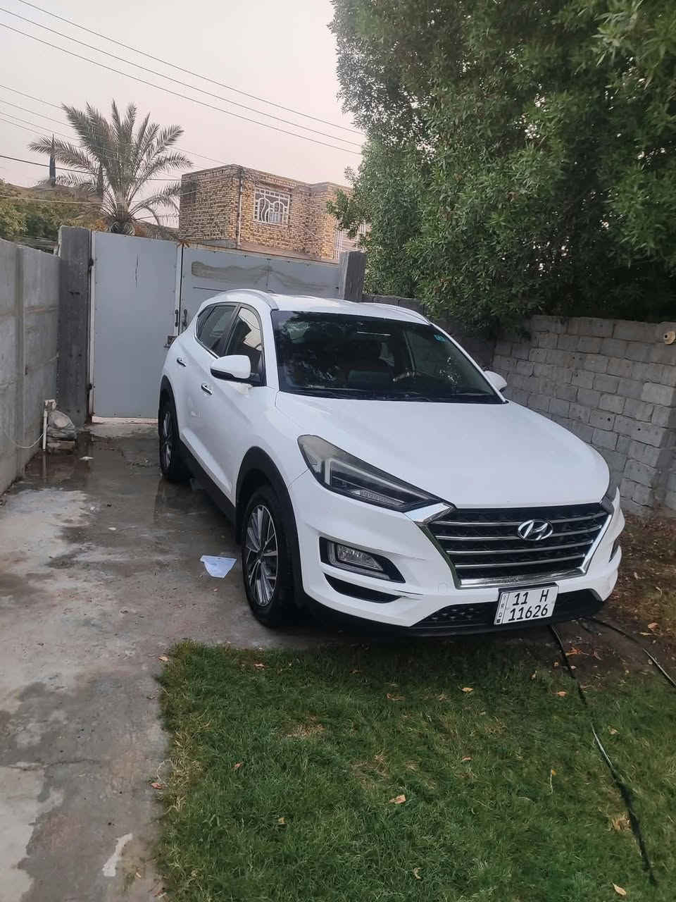 توسان • ٢٠١٩ • باسمي بغداد