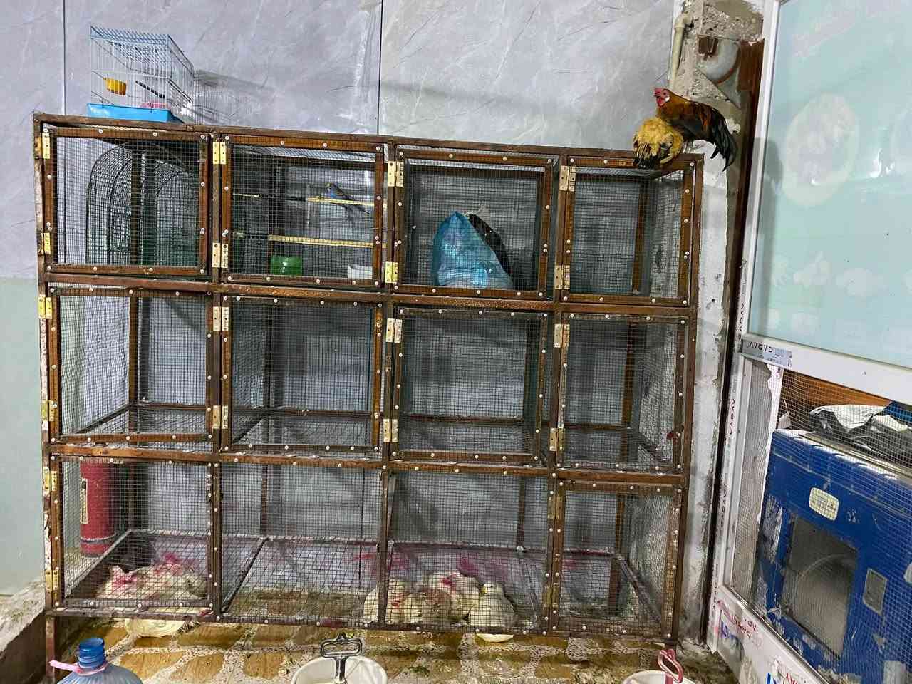 بةردةستة لةكةلارم  10خانةية  دةتواني بيكةيت بة12خانةيش  100هةزار   *********** ئةدميني گول وةريگرة
