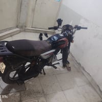 بوكسر • جبلي • ٢٠٢٢