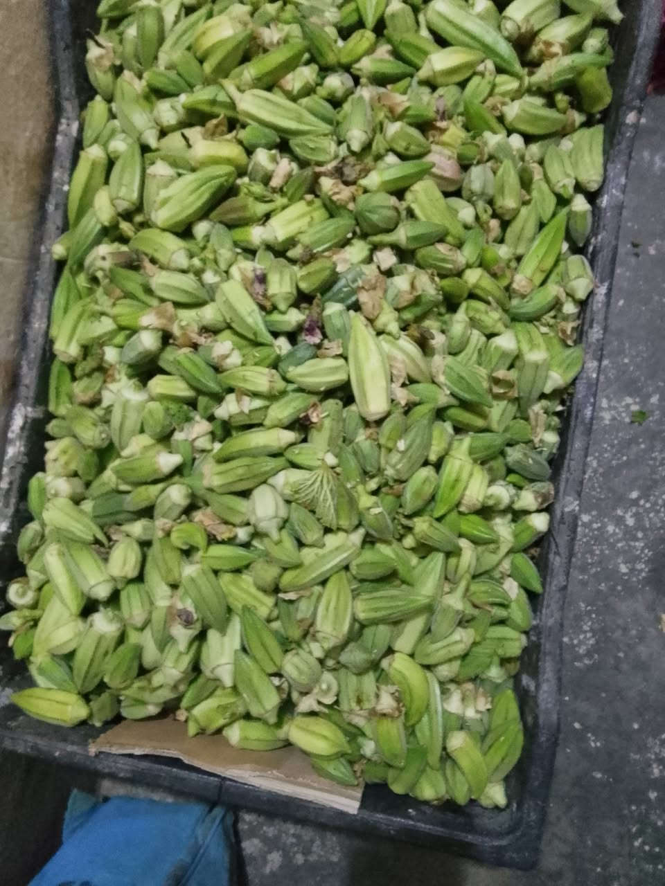 باميه • للبيع • تواصل